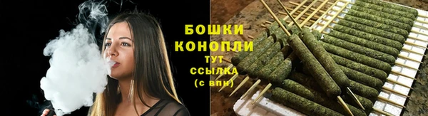 прущие грибы Бронницы