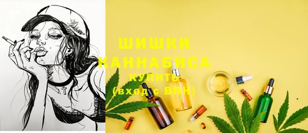 прущие грибы Бронницы