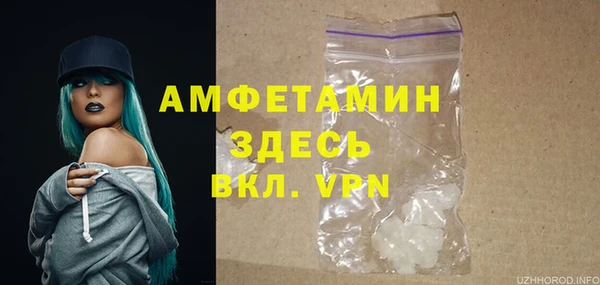 прущие грибы Бронницы