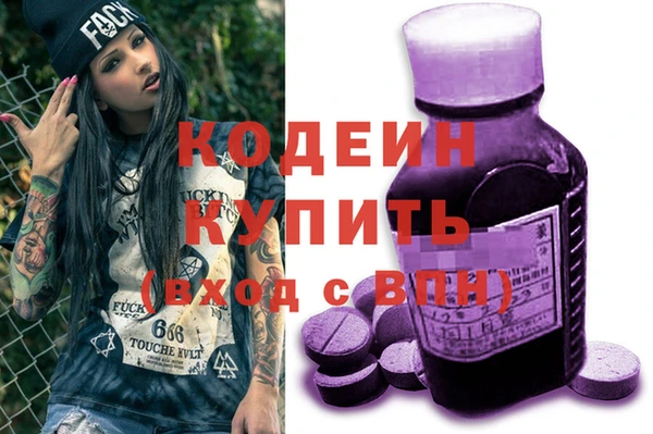 гашик Бородино
