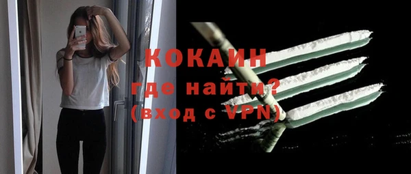 прущие грибы Бронницы