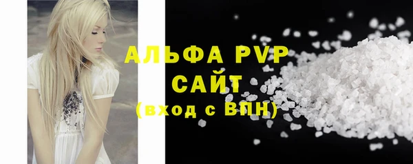 гашик Бородино