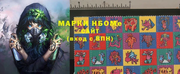 гашик Бородино