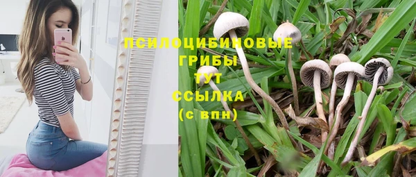 гашик Бородино
