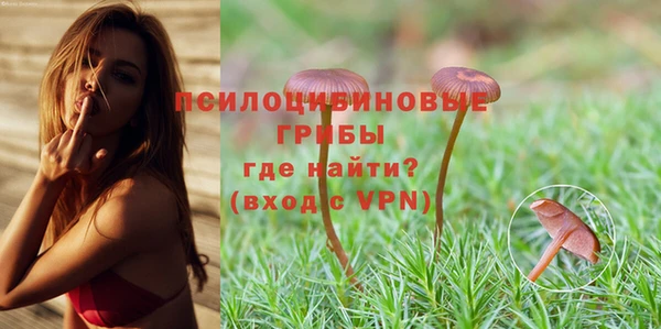 прущие грибы Бронницы