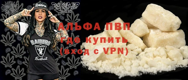 прущие грибы Бронницы