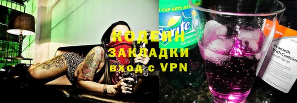 прущие грибы Бронницы