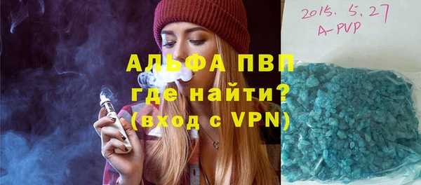 прущие грибы Бронницы