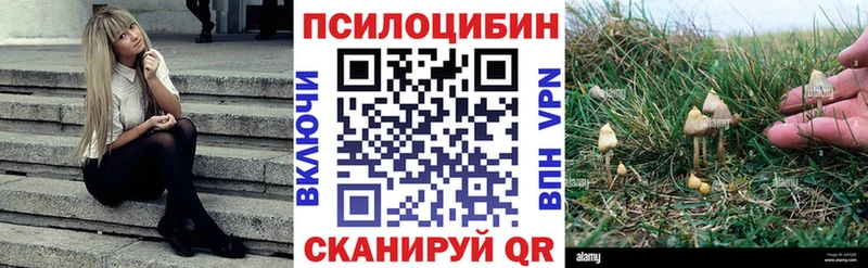 Псилоцибиновые грибы MAGIC MUSHROOMS  продажа наркотиков  Южноуральск 